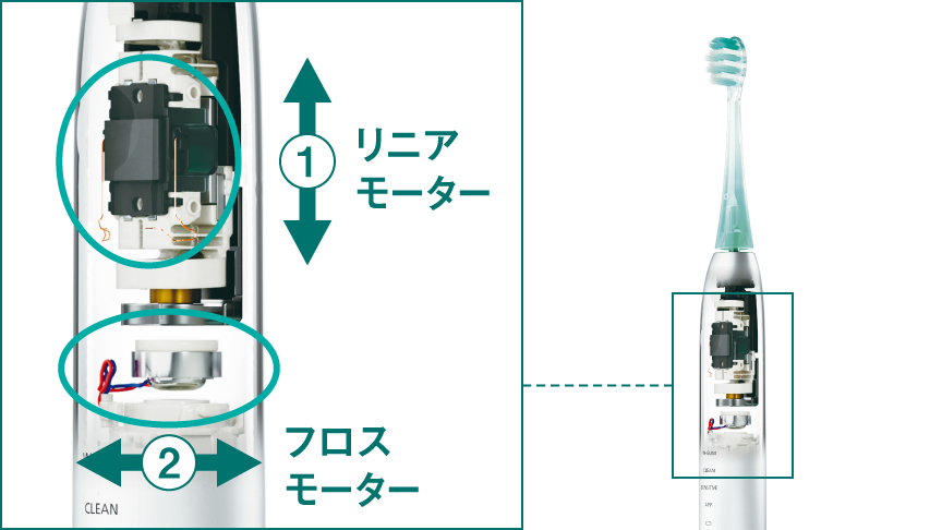 W音波振動の仕組み内部イメージイラスト　1,リニアモーター　2,フロスモーター