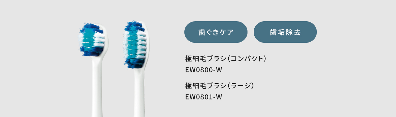 歯ぐきケア　歯垢除去　極細毛ブラシ（コンパクト）EW0800-W　極細毛ブラシ（ラージ）EW0801-W
