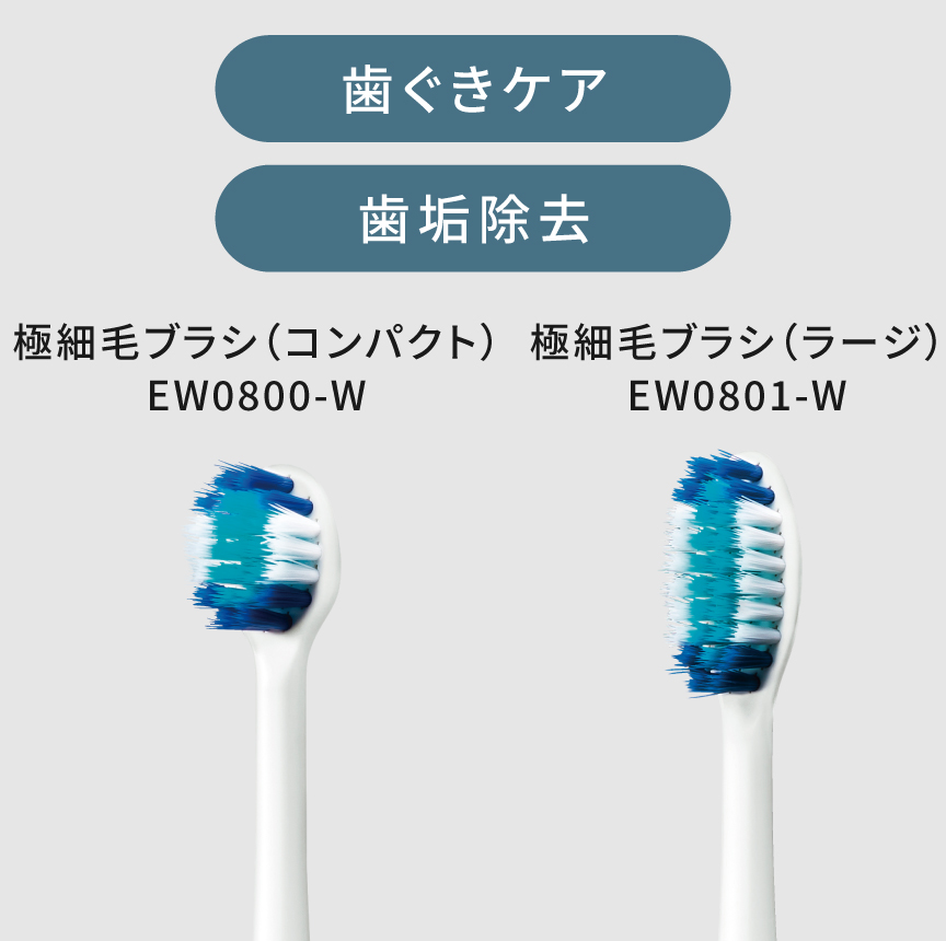 歯ぐきケア　歯垢除去　極細毛ブラシ（コンパクト）EW0800-W　極細毛ブラシ（ラージ）EW0801-W