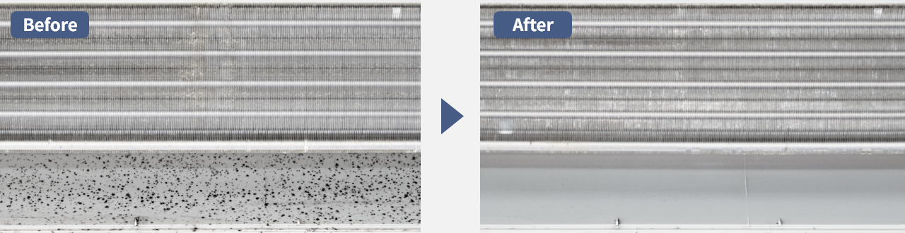  altテキストが入ります