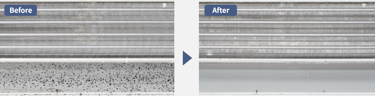  altテキストが入ります