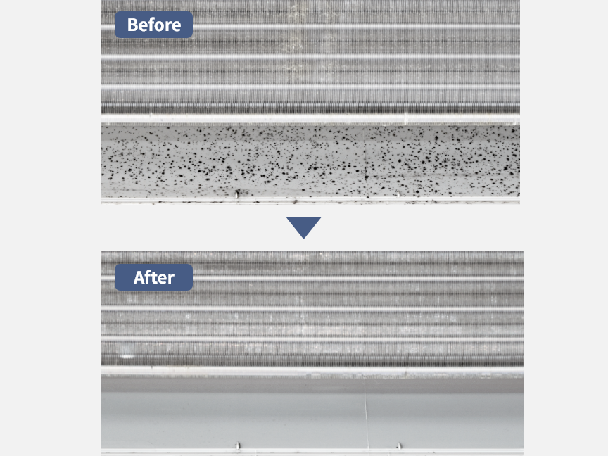  altテキストが入ります