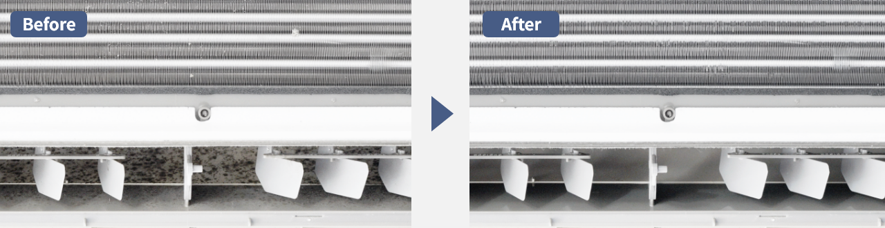  altテキストが入ります