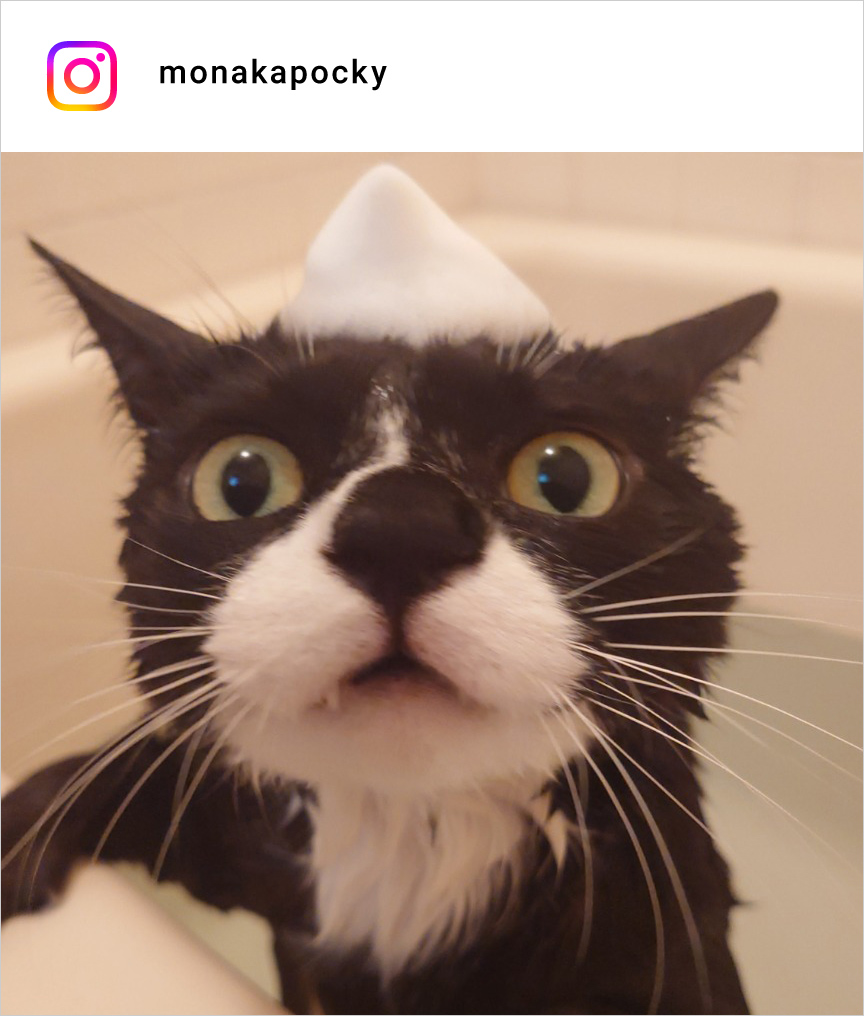 altテキストが入ります