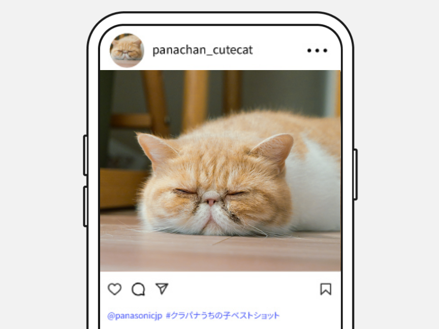 写真を投稿する