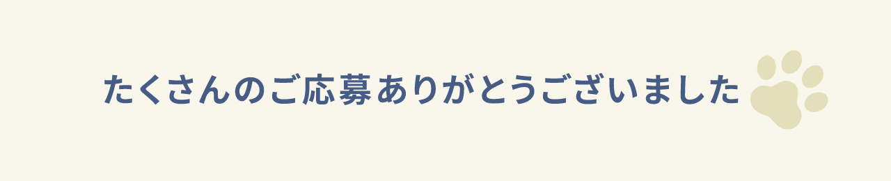 ご応募ありがとうございました