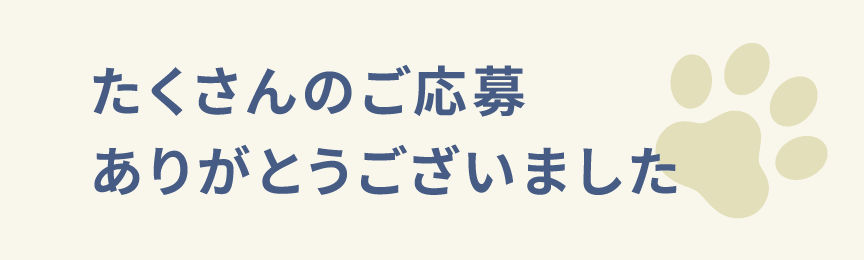 パナソニック公式Instagramをフォロー＆メンションし、「＃クラパナうちの子ベストショット」と写真投稿で、入選10名にCLUB Panasonicコイン5000円分をプレゼント。さらに公式サイト特設ページで、投稿したペットの写真を期間限定掲載します。