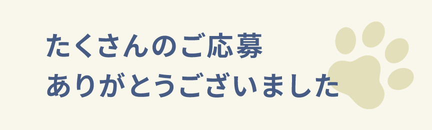 ご応募ありがとうございました