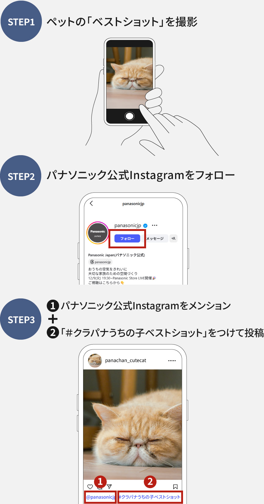 STEP1：ペットの「ベストショット」を撮影　STEP2：パナソニック公式Instagramをフォロー　STEP3：パナソニック公式アカウントをメンション＋「＃クラパナうちの子ベストショット」をつけて投稿