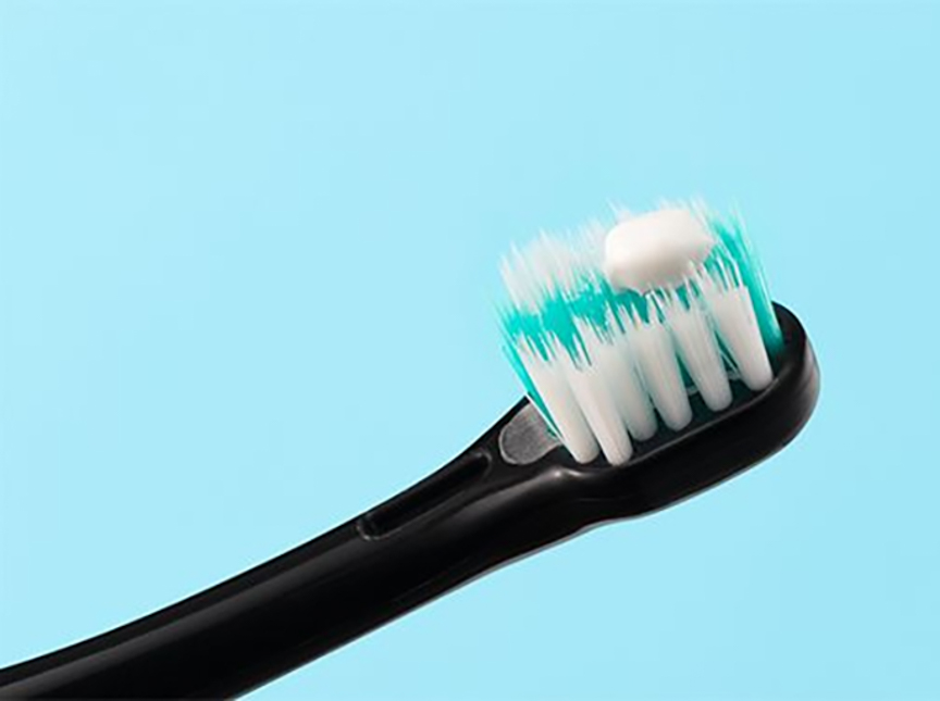 ドルツの説明画像です