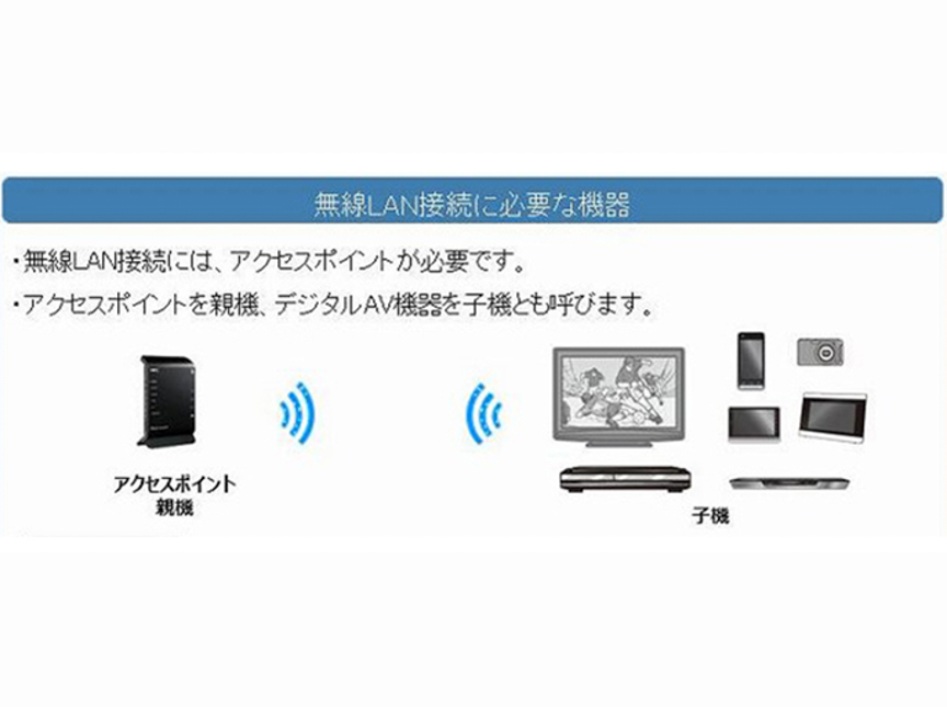 ビエラの説明画像です