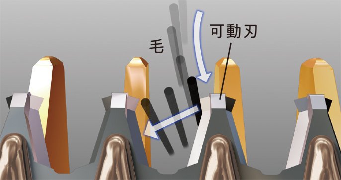 毛と可動刃のイラスト