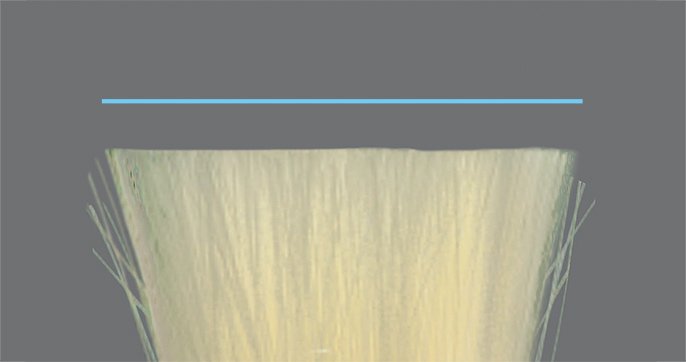 カットされた髪