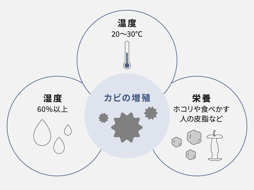 カビが生える条件のイラストです。温度20～30℃、湿度60％以上、栄養 ホコリや食べかす・人間の皮脂など