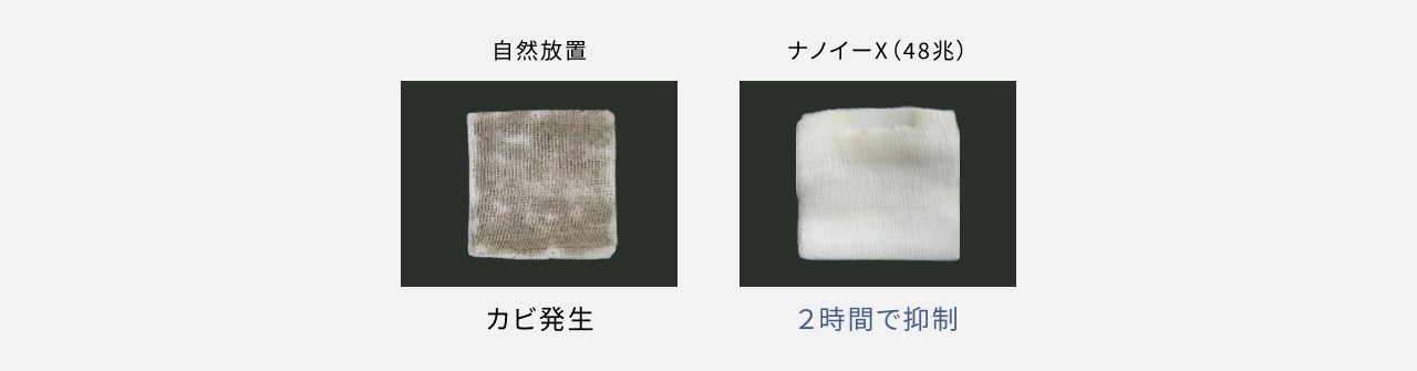 自然放置しカビが発生した画像と、ナノイーX（48兆）によってカビを2時間で抑制した画像です。