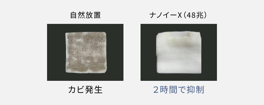 自然放置しカビが発生した画像と、ナノイーX（48兆）によってカビを2時間で抑制した画像です。