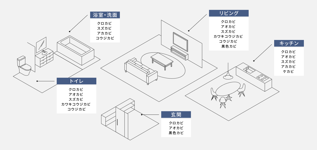 家の中でカビが発生しやすい場所とカビの種類のイラストです。