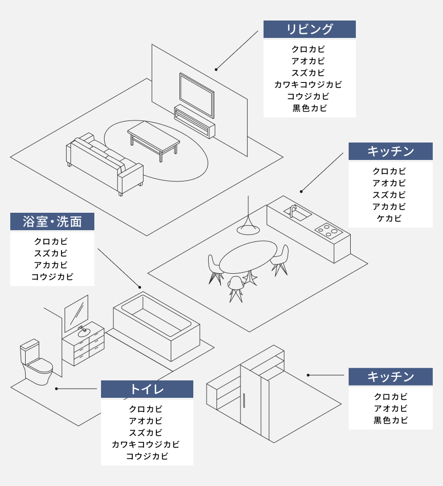 家の中でカビが発生しやすい場所とカビの種類のイラストです。
