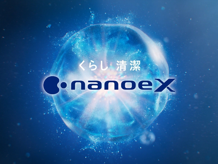 ナノイーX早わかりの画像です