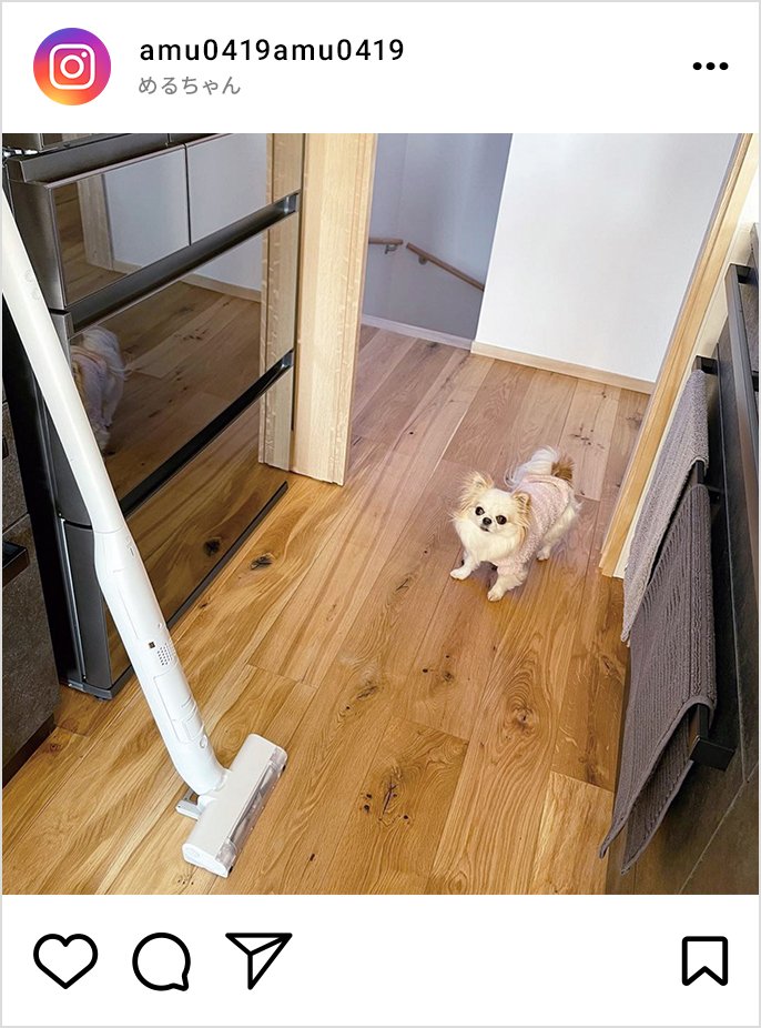 めるちゃんのインスタグラム投稿画像です