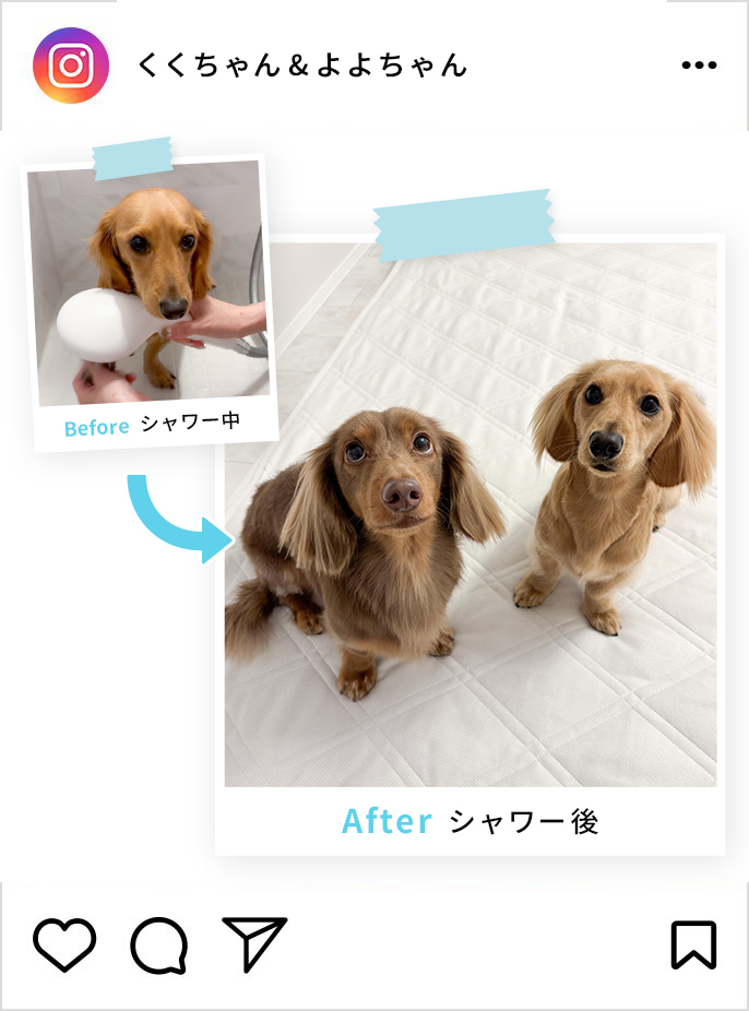 空ちゃんのインスタグラム投稿画像です