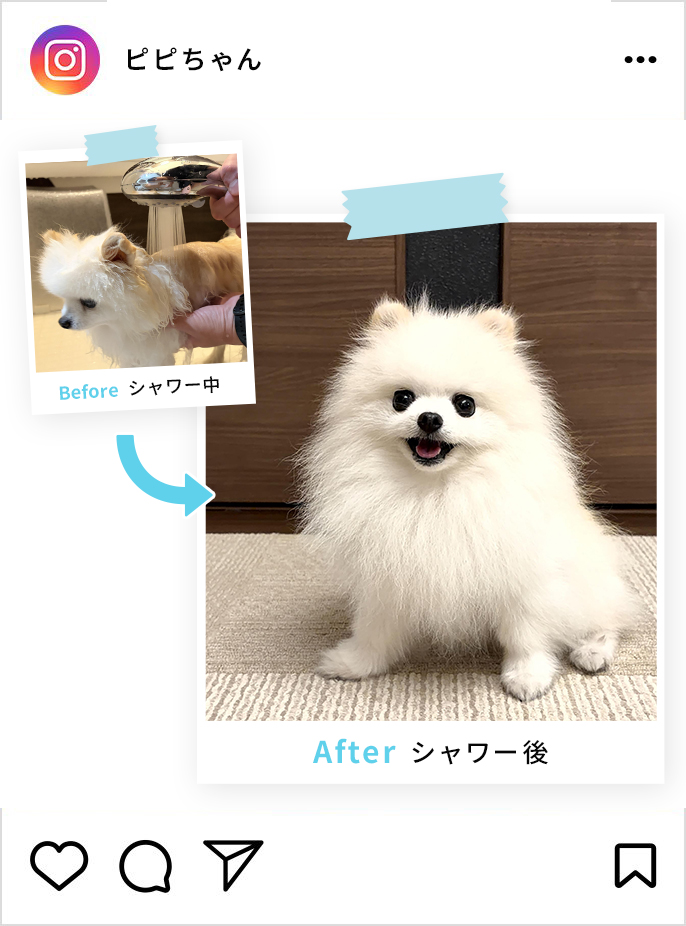 ななちゃん＆まりちゃんのインスタグラム投稿画像です