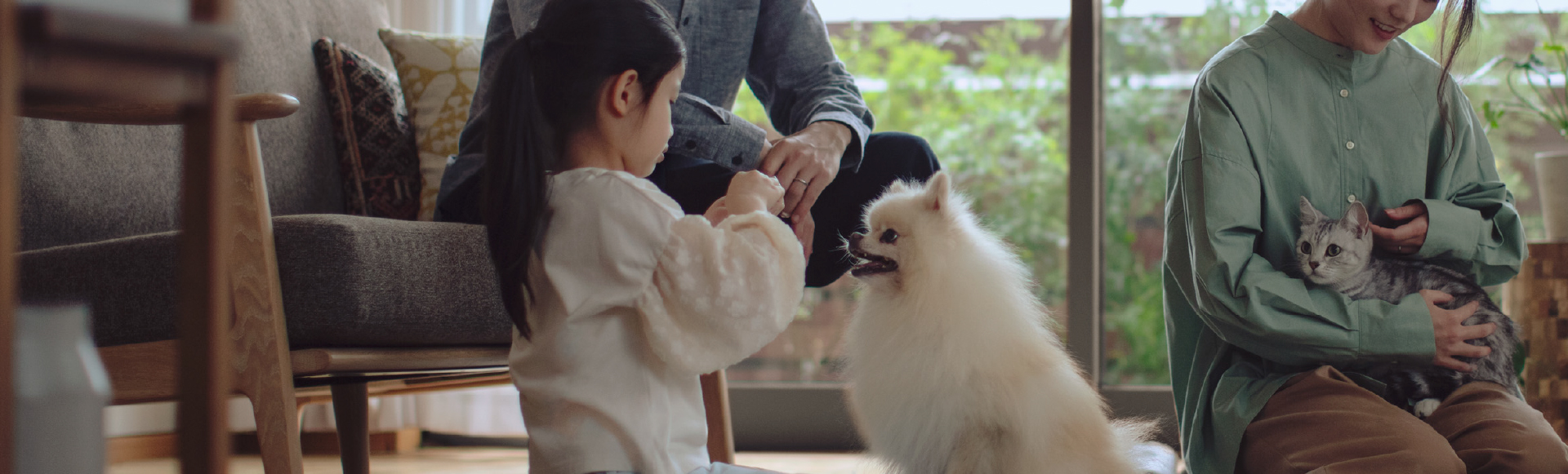 保護犬猫との暮らしのイメージ画像です。