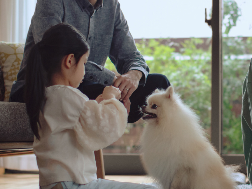 保護犬猫との暮らしのイメージ画像です。