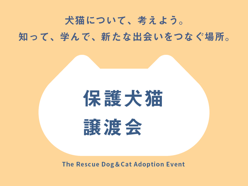 パナソニック保護犬猫譲渡会のメインビジュアルです。犬猫について、考えよう。知って、学んで、新たな出会いをつなぐ場所。