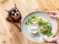 「愛犬と一緒に味わう手作りごはん＆おやつVol.2　ラム肉のエスニック焼き餃⼦」のバナー画像です。