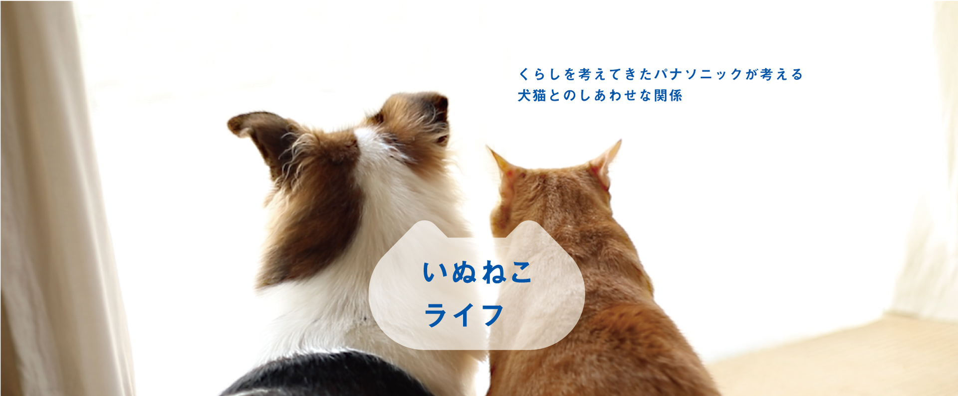 くらしを考えてきたパナソニックが考える、犬猫とのしあわせな関係　いぬねこライフ