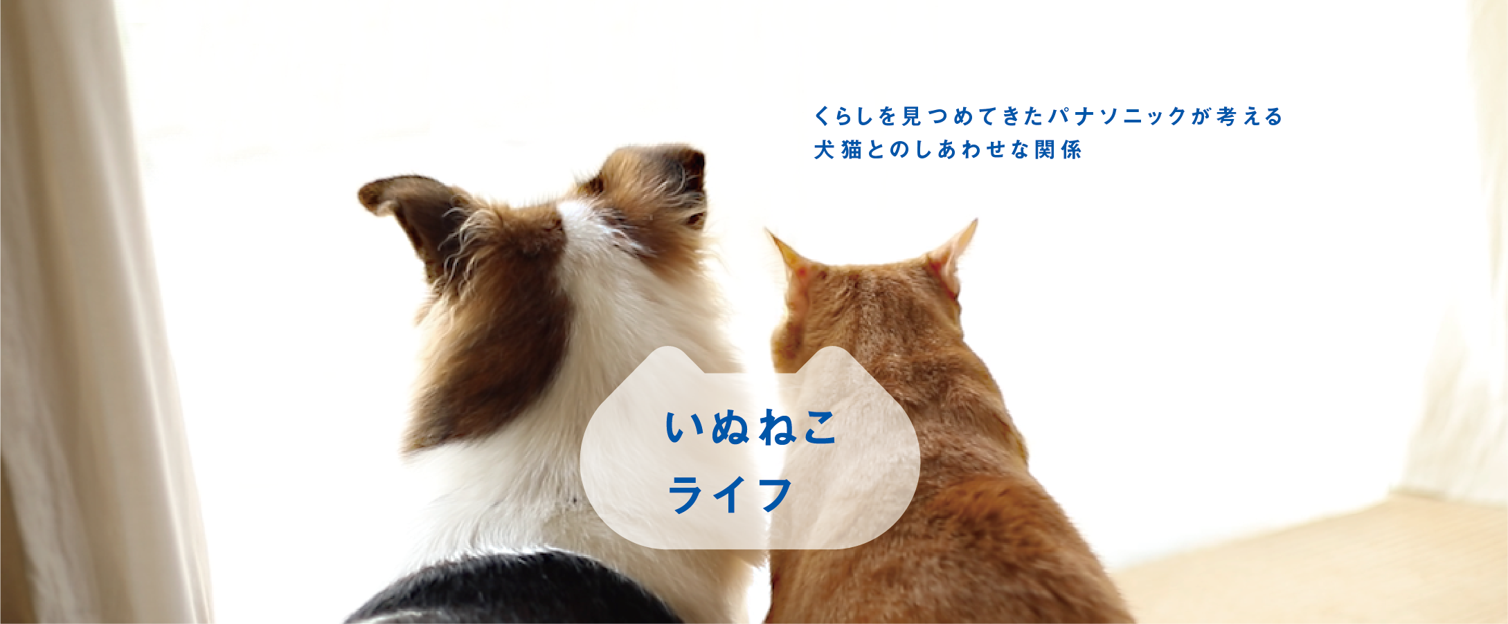 くらしを考えてきたパナソニックが考える、犬猫とのしあわせな関係　いぬねこライフ