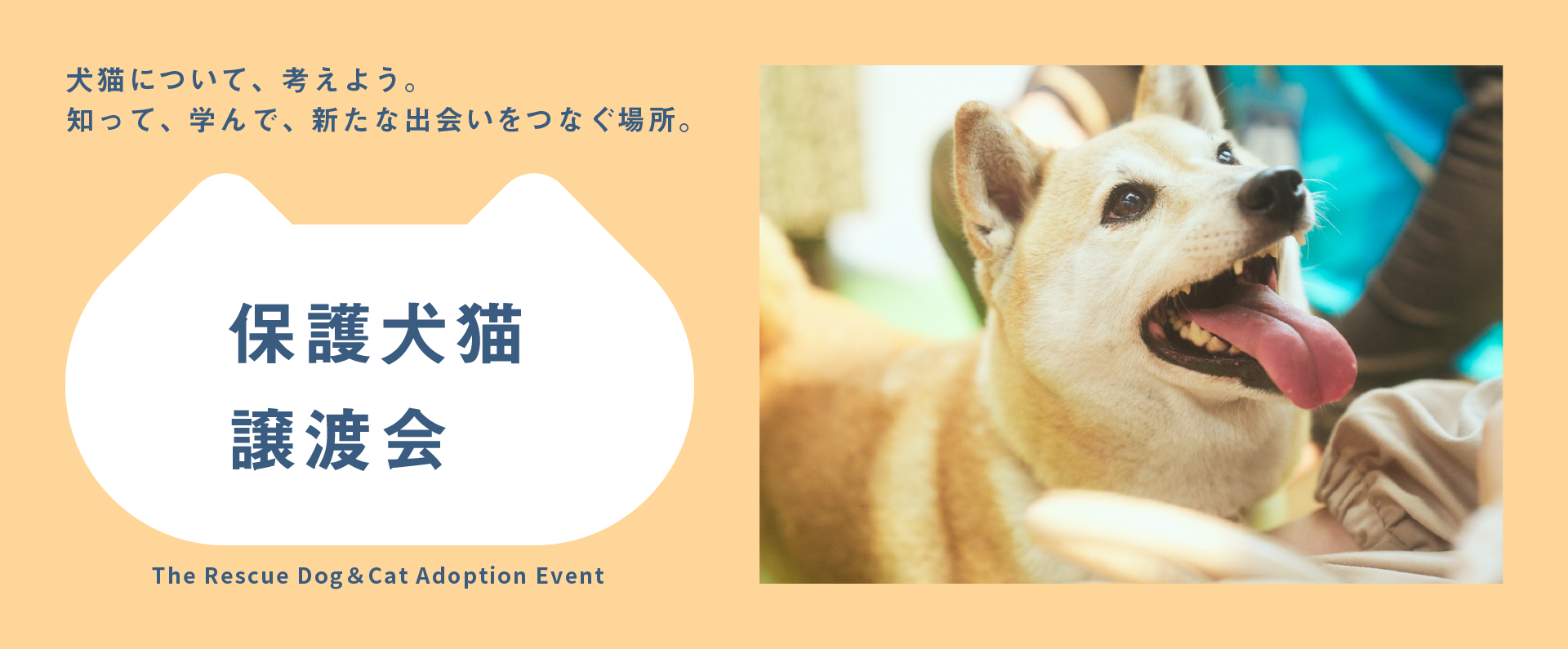 パナソニック 保護犬猫譲渡会のメインビジュアルです。犬が写っています。犬猫について、考えよう。知って、学んで、新たな出会いをつなぐ場所。
