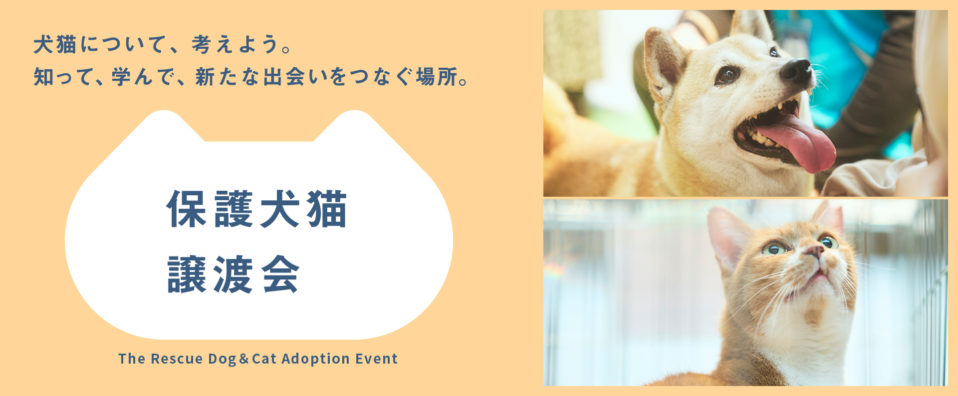 パナソニック保護犬猫譲渡会のメインビジュアルです。犬が写っています。犬猫について、考えよう。知って、学んで、新たな出会いをつなぐ場所。