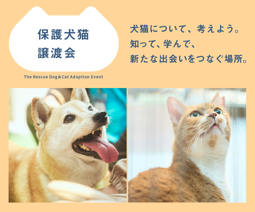 パナソニック保護犬猫譲渡会のメインビジュアルです。犬が写っています。犬猫について、考えよう。知って、学んで、新たな出会いをつなぐ場所。
