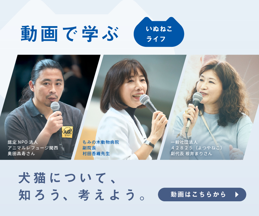 学びコンテンツのイメージ画像です。学びコンテンツページに遷移します。