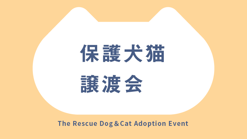 パナソニック保護犬猫譲渡会TOPページのバナー画像です。