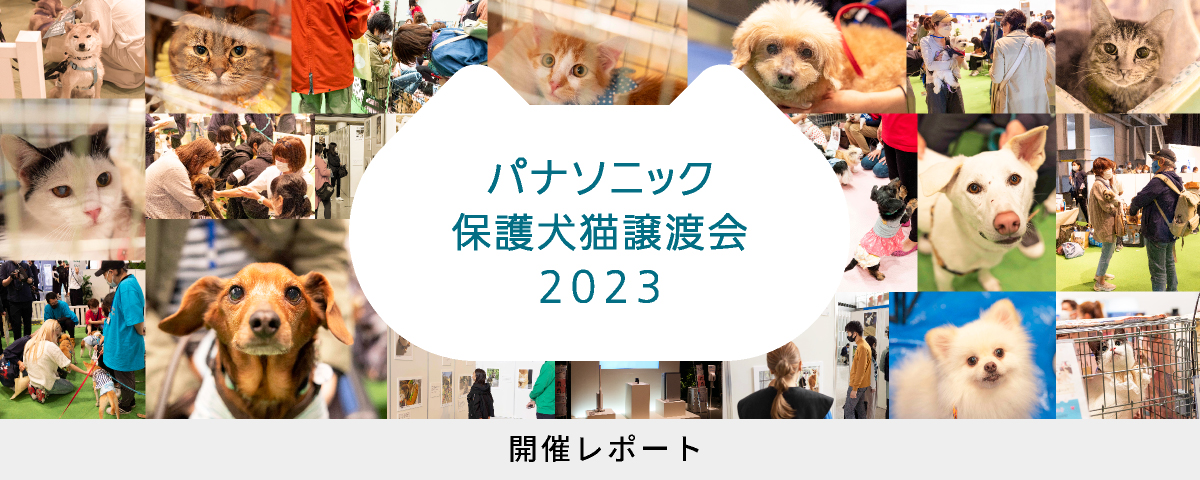 保護犬猫譲渡会2023 開催レポートのメインビジュアルです
