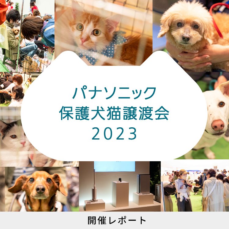 保護犬猫譲渡会2023 開催レポートのメインビジュアルです