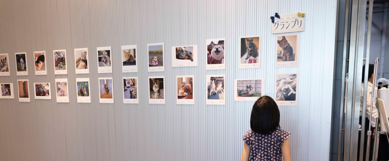 写真コンテストの様子です。