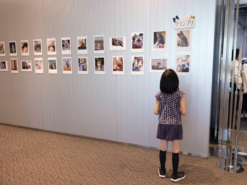 写真コンテストの様子です。