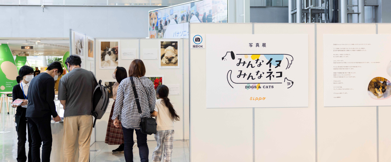 写真展の様子です。