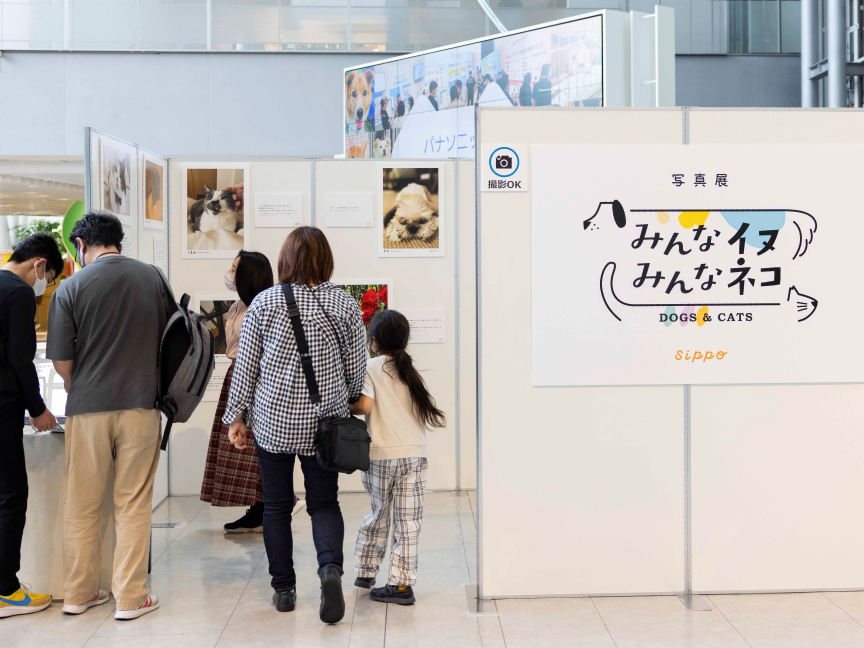 写真展の様子です。