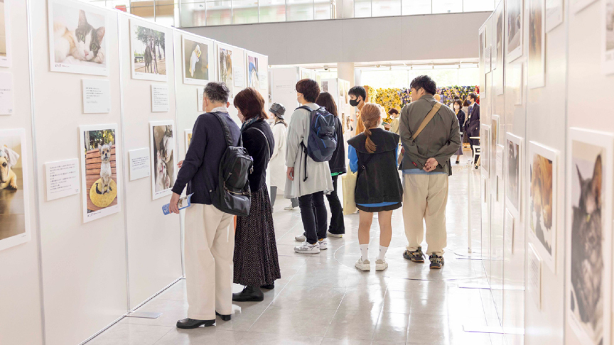 写真展の様子です。