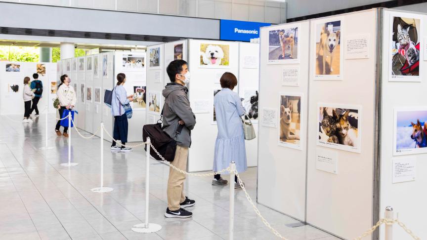 写真展の様子です。