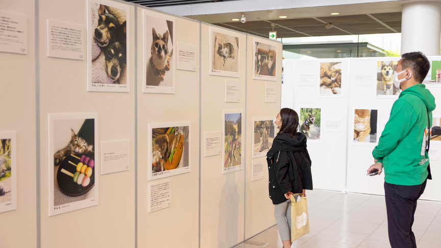 写真展の様子です。