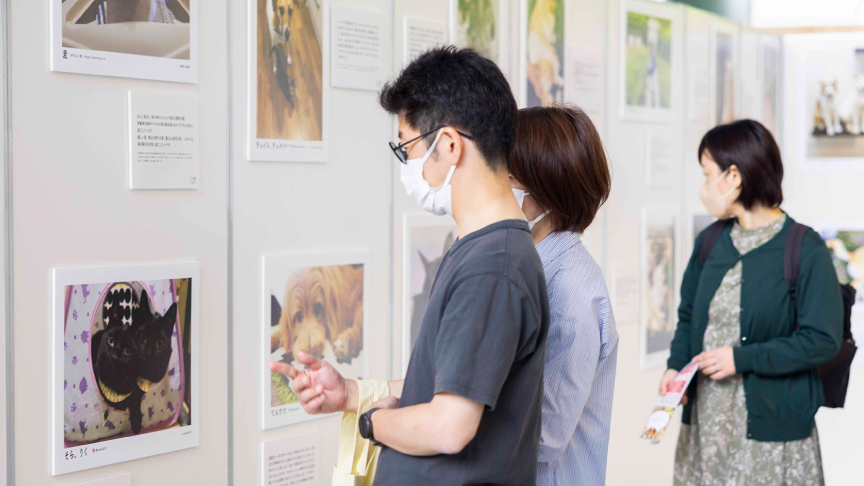 写真展の様子です。