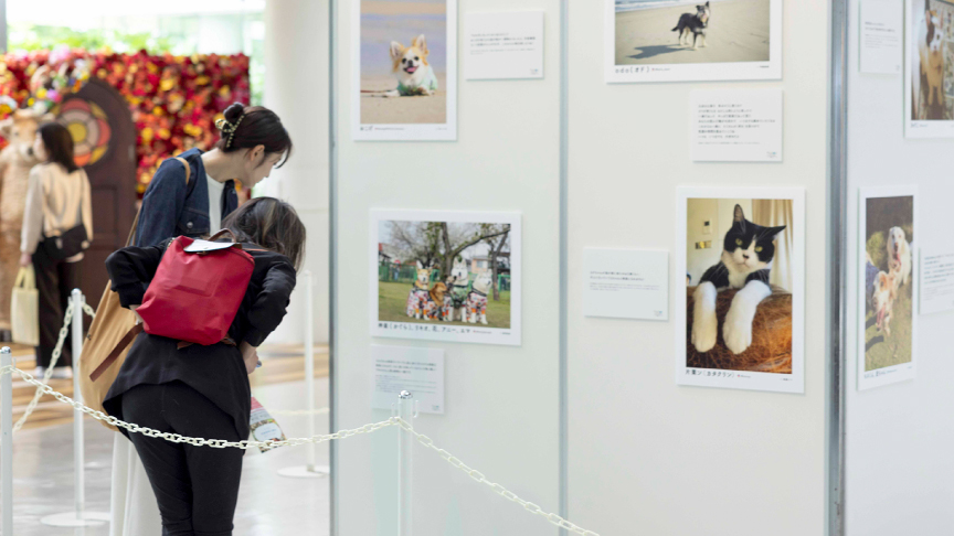 写真展の様子です。