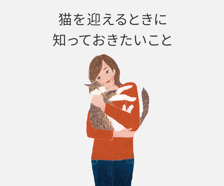 女性が猫を抱っこしているイラストです