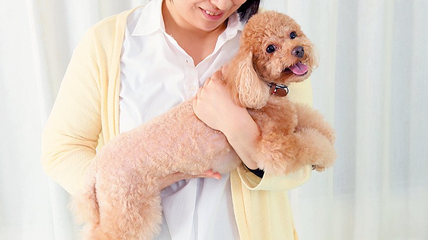 女性が犬を抱っこしている画像です